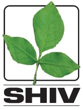 Shiv International Logo